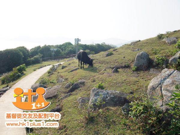 單身基督徒行山活動